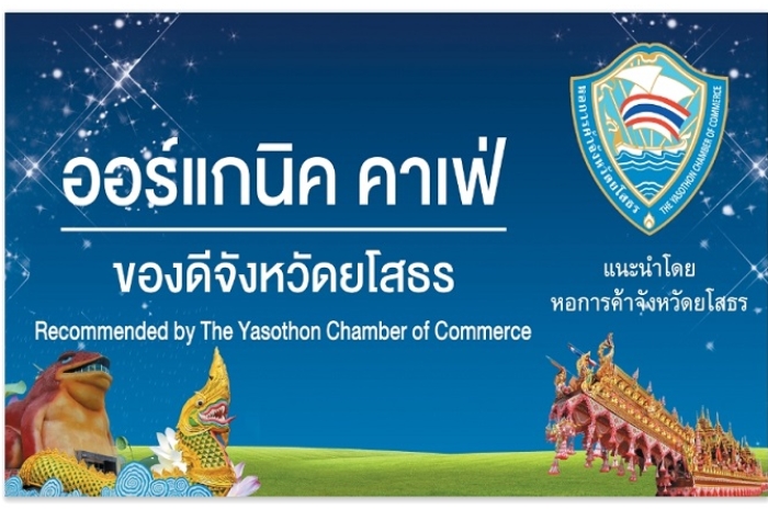 ออร์แกนิค คาเฟ่ : ส่วนลด 5% 